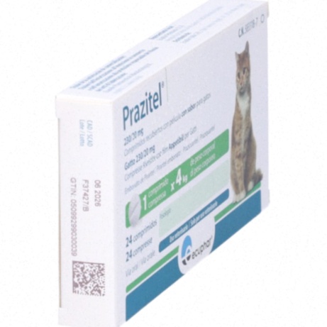 praziquantel